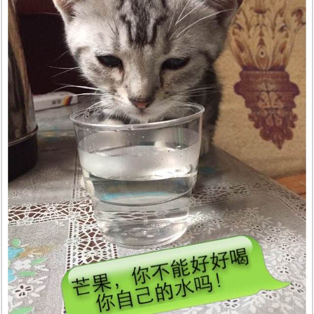 亚美尼亚护照电子版怎么仿制缅因州结婚证怎么买高仿